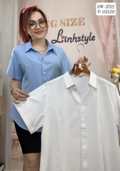 17311 SM Form ôm 00252 XANH