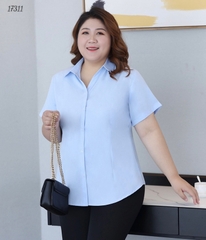 17311 SM Form ôm 00252 XANH