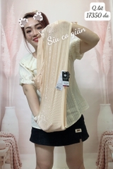 Quần lót chip BIG SIZE thun lưới ĐẠI 17350 DA