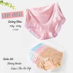 Quần lót chip BIG SIZE thun lưới ĐẠI 17350 TÍM