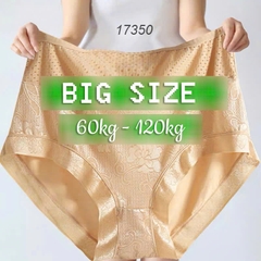 Quần lót chip BIG SIZE thun lưới ĐẠI 17350 DA