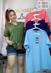 S-0030- 17651 A. Cổ tim ĐẠI X.Lá