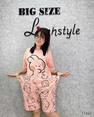 17842 SS.DAI 00378 Tho- #6538- HỒNG