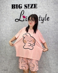 17842 SS.DAI 00378 Tho- #6538- HỒNG