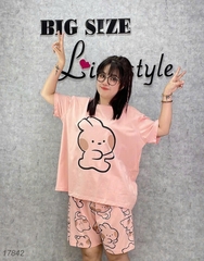 17842 SS.DAI 00378 Tho- #6538- HỒNG