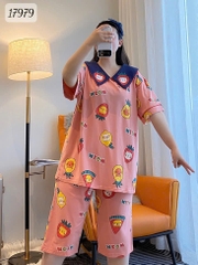 17979 SL.DAIxin CS Meow - HỒNG