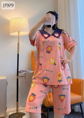 17979 SL.DAIxin CS Meow - HỒNG