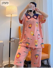 17979 SL.DAIxin CS Meow - HỒNG