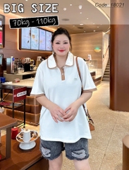 Áo polo che bụng BIGSIZE Quảng Châu logo ST chất đẹp, size DAI 100kg 110kg-  KEM