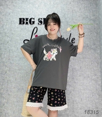 18315 SS. 00378 Meo- Q.hoa #6603- Ren
