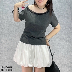 18445 - A.R1V Ren 00270