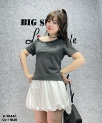 18445 - A.R1V Ren 00270