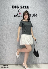 18445 - A.R1V Ren 00270