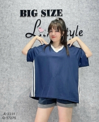 2231 A.cổ tim sọc 00270