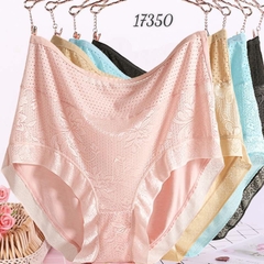 Quần lót chip BIG SIZE thun lưới ĐẠI 17350 DA