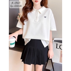 17671 A.polo-nh 00270 KEM