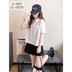 17671 A.polo-nh 00270 KEM