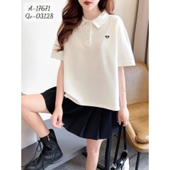 17671 A.polo-nh 00270 KEM