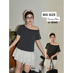 18445 - A.R1V Ren 00270