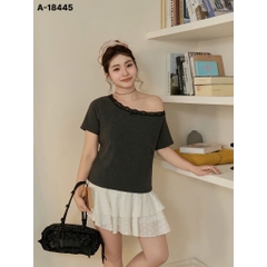 18445 - A.R1V Ren 00270