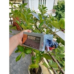 Nguồn Máy Tính Start Power 500W 5V