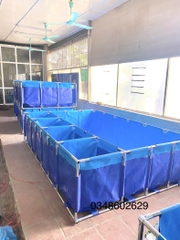 Bể bạt nuôi cá Koi 3 ngăn lọc dài 3.6m