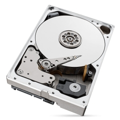 Ổ cứng Seagate Ironwolf 10Tb 7200rpm 6Gb/s 256MB (ST10000VN000)