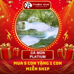 Combo Số  17 - Cá Mún Platium