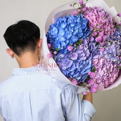 Bó Hoa Cẩm Tú Cầu Nhập Khẩu - Specials