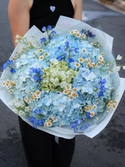 Bó Hoa Cẩm Tú Cầu mix Delphinium & Cúc Tana