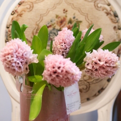 SET hoa thả bình 008 - Dạ Hương