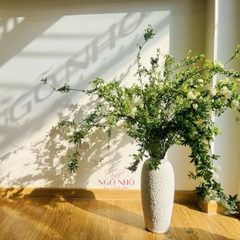 Tiểu Tú Cầu Kodemari (Nhật Bản)