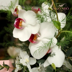 Hộp hoa tông hồng pastel