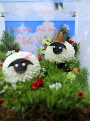 Hộp Hoa “SunnySheep”