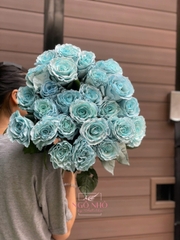 (Hoa Lẻ) Hồng Sky Blue (Hoa Nhập Ecuador)
