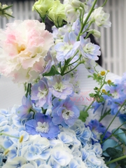 Bó Hoa Cẩm Tú Cầu Nhập | Delphinium Xanh 280