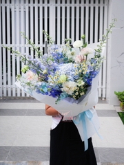 Bó Hoa Cẩm Tú Cầu Nhập | Delphinium Xanh 280