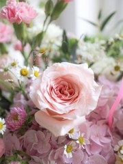 Bó Hoa Nơ Hồng Đứng | CUTE18 Dễ Thương