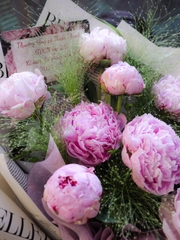 Bó Hoa Mẫu Đơn | Peony Nhập Khẩu 1680