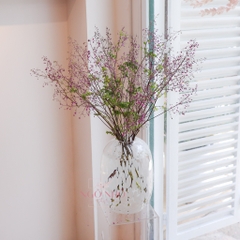 (Hoa Lẻ) Hoa Hoàng Liên Tím Nhập Khẩu