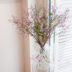 (Hoa Lẻ) Hoa Hoàng Liên Tím Nhập Khẩu