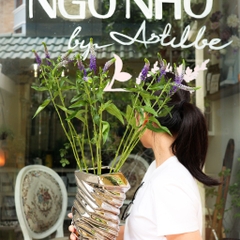 (Hoa Lẻ) Hoa Veronica Tím Nhập Khẩu