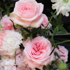 (Hoa Lẻ) Hoa Hồng Ohara Thơm Ngất Ngây