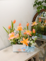 Giỏ Mica Tone Cam | Hoa Tulip Cá Hồi Phối Hoa Nhập Khẩu