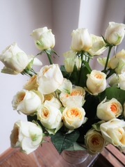 (Hoa Lẻ) Hoa Hồng ButterCup Vàng Nhạt