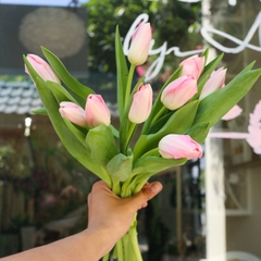 (Hoa Lẻ) Hoa Tulip Hồng Nhạt Nhập Khẩu