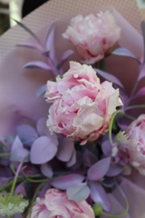Bó Hoa Peony SARAH BERNHARDT Phối Thúy Châu 1860