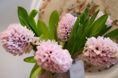 SET hoa thả bình 008 - Dạ Hương