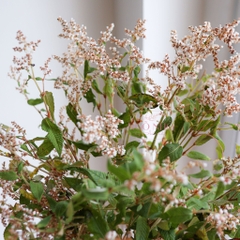 (Hoa Lẻ) Hoa Erica/ Poly Nhập Khẩu