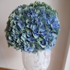 (Hoa Lẻ) Hoa Cẩm Tú Cầu Minium Blue Nhập Khẩu